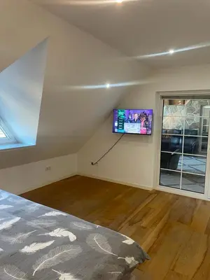 TV/Unterhaltungsangebot in der Unterkunft Luxuriöse Wohnung im Herzen von RLP